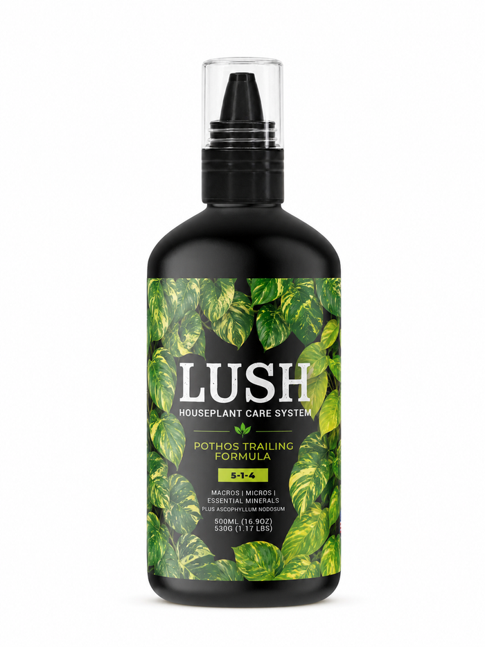 Lush Pothos Plant Food