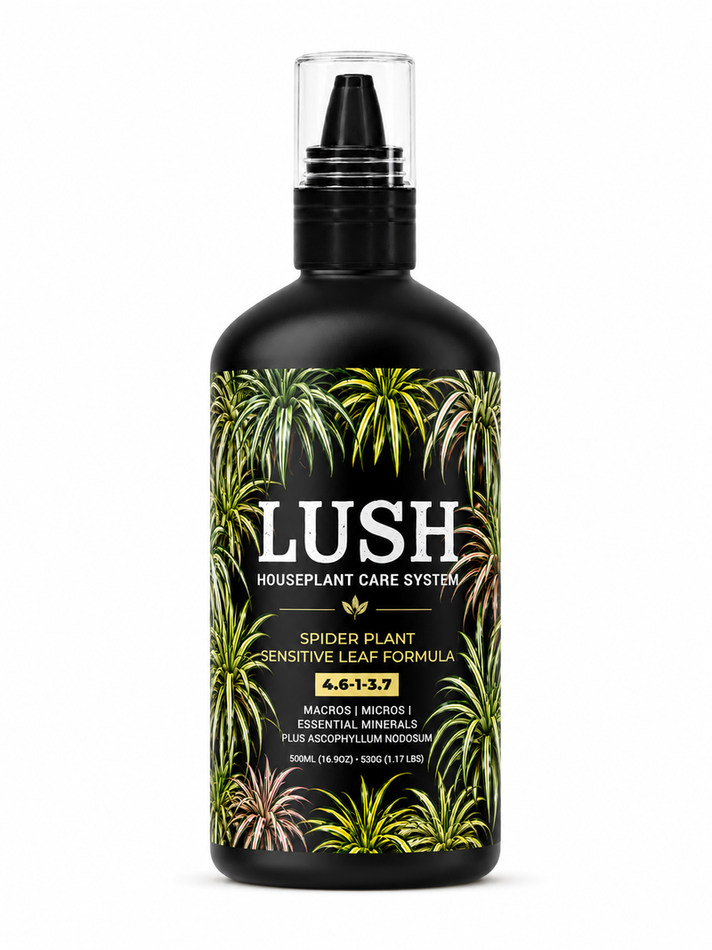 Lush Spider Plant Food 4.6-1-3.7 bottle
